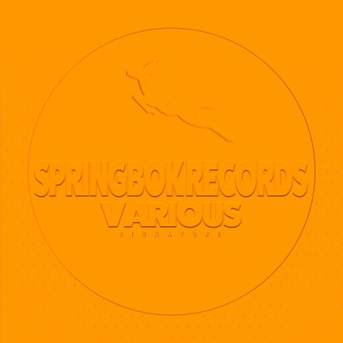 VA - Spirngbok Records Various Signature [SBK306]